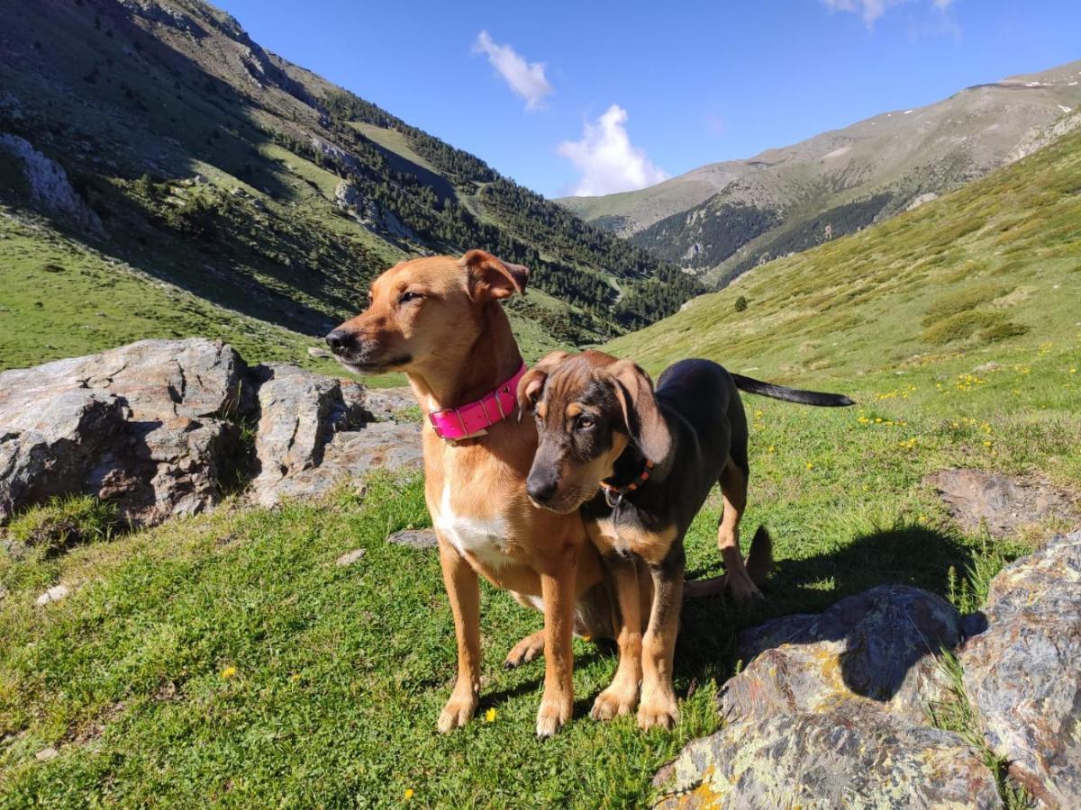 Apartaments Vall De Nuria Queralbs Exteriör bild